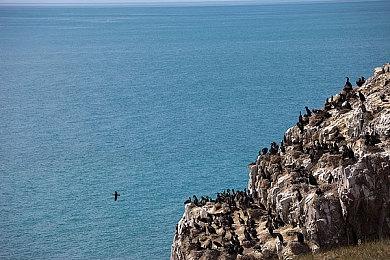 法国游戏开发工会指责《驱灵者》开发商管理混乱