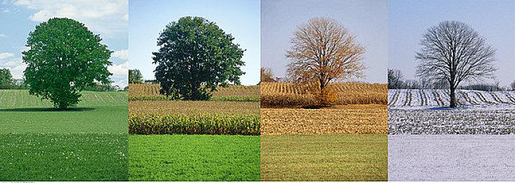 《战地6》支持跨平台 但主机玩家可选择不和PC玩家玩